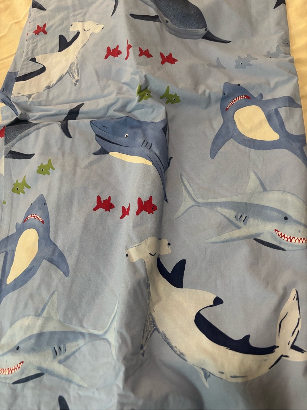 Pottery Barn Kids Blue Shark Print Duvet Cover with Red & Green Fish